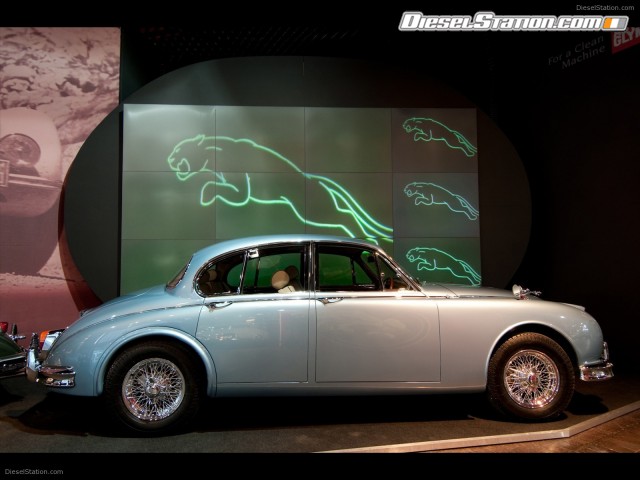 Jaguar Jamboree Picture #1 Jaguar Jamboree Picture #1