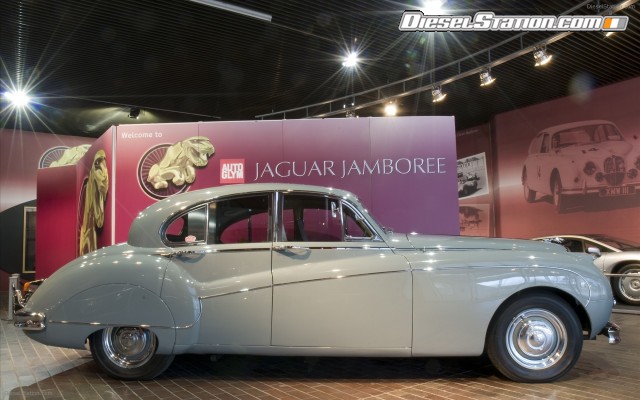 Jaguar Jamboree Widescreen Picture #3 Jaguar Jamboree Widescreen Picture #3