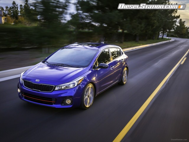 Kia Forte5 2017 Picture #13 Kia Forte5 2017 Picture #13