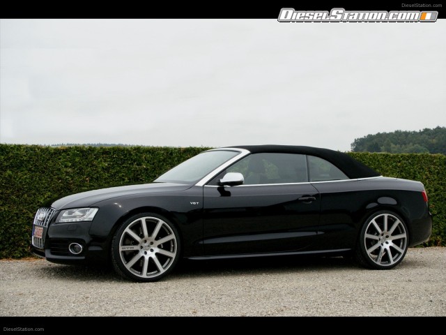 MTM 2010 Audi S5 Cabriolet Picture #15 MTM 2010 Audi S5 Cabriolet Picture #15