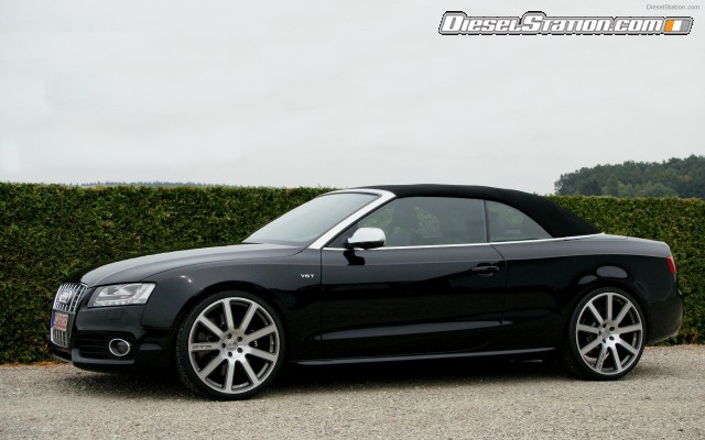 MTM 2010 Audi S5 Cabriolet Widescreen Picture #12 MTM 2010 Audi S5 Cabriolet Widescreen Picture #12