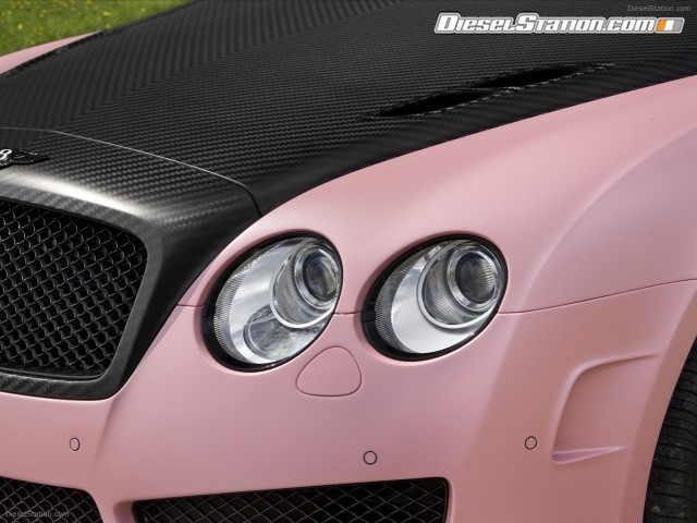 Mansory 2009 Vitesse Rose Picture #20 Mansory 2009 Vitesse Rose Picture #20