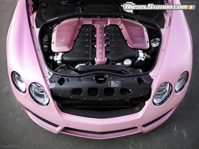 Mansory 2009 Vitesse Rose Picture #17 Mansory 2009 Vitesse Rose Picture #17