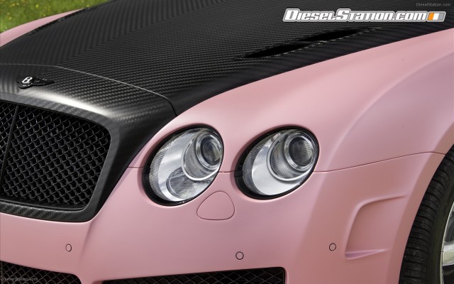 Mansory 2009 Vitesse Rose Widescreen Picture #22 Mansory 2009 Vitesse Rose Widescreen Picture #22