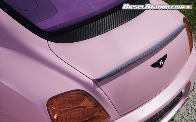Mansory 2009 Vitesse Rose Widescreen Picture #19 Mansory 2009 Vitesse Rose Widescreen Picture #19