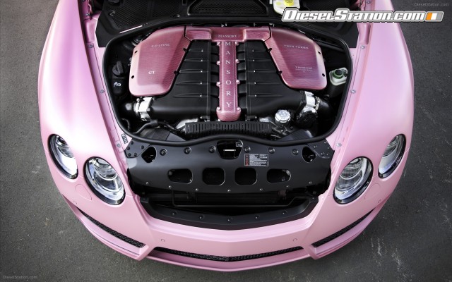 Mansory 2009 Vitesse Rose Widescreen Picture #14 Mansory 2009 Vitesse Rose Widescreen Picture #14