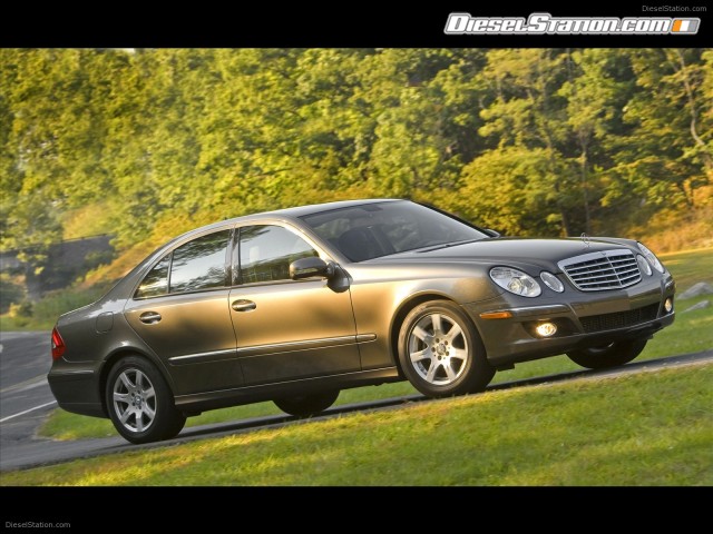 Mercedes 2009 E320 BlueTEC Picture #17 Mercedes 2009 E320 BlueTEC Picture #17