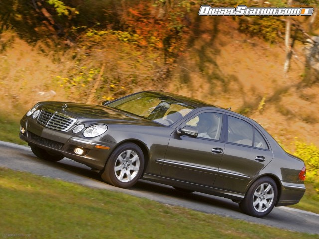 Mercedes 2009 E320 BlueTEC Picture #12 Mercedes 2009 E320 BlueTEC Picture #12