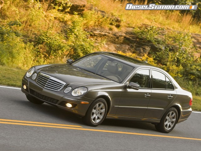 Mercedes 2009 E320 BlueTEC Picture #25 Mercedes 2009 E320 BlueTEC Picture #25