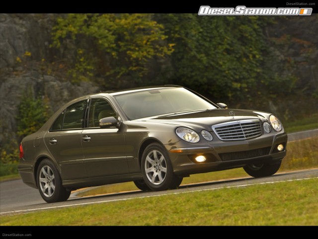 Mercedes 2009 E320 BlueTEC Picture #11 Mercedes 2009 E320 BlueTEC Picture #11