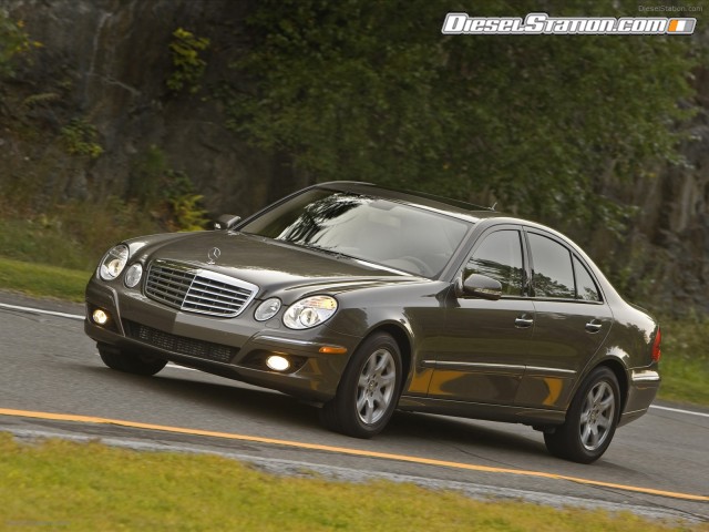 Mercedes 2009 E320 BlueTEC Picture #18 Mercedes 2009 E320 BlueTEC Picture #18