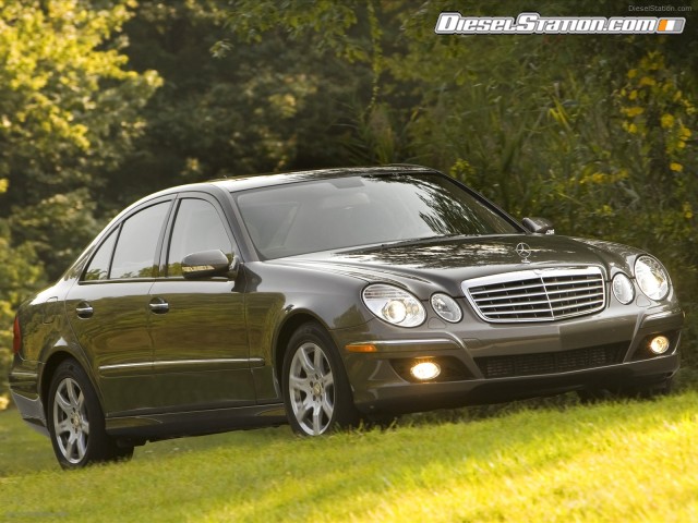 Mercedes 2009 E320 BlueTEC Picture #10 Mercedes 2009 E320 BlueTEC Picture #10