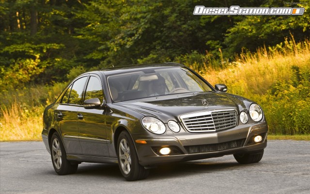 Mercedes 2009 E320 BlueTEC Widescreen Picture #16 Mercedes 2009 E320 BlueTEC Widescreen Picture #16