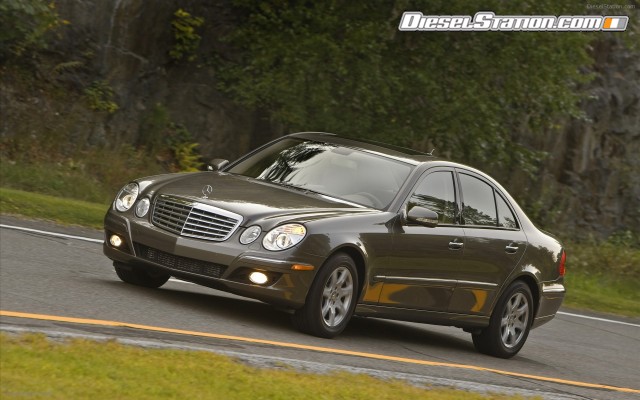 Mercedes 2009 E320 BlueTEC Widescreen Picture #22 Mercedes 2009 E320 BlueTEC Widescreen Picture #22