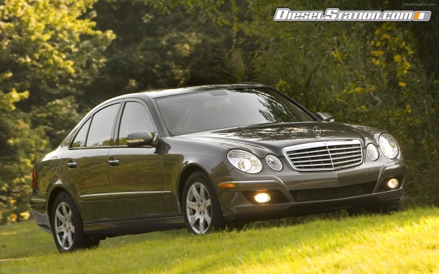 Mercedes 2009 E320 BlueTEC Widescreen Picture #19 Mercedes 2009 E320 BlueTEC Widescreen Picture #19