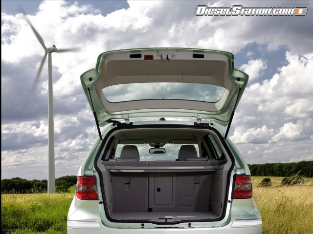 Mercedes 2010 B Class F Cell Picture #7 Mercedes 2010 B Class F Cell Picture #7