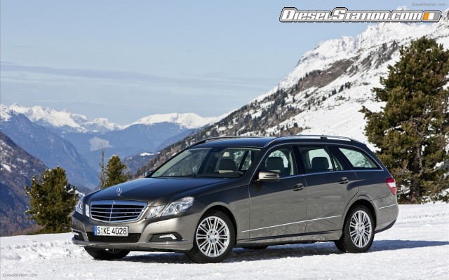 Mercedes 2010 E Class 4Matic Widescreen Picture #45 Mercedes 2010 E Class 4Matic Widescreen Picture #45