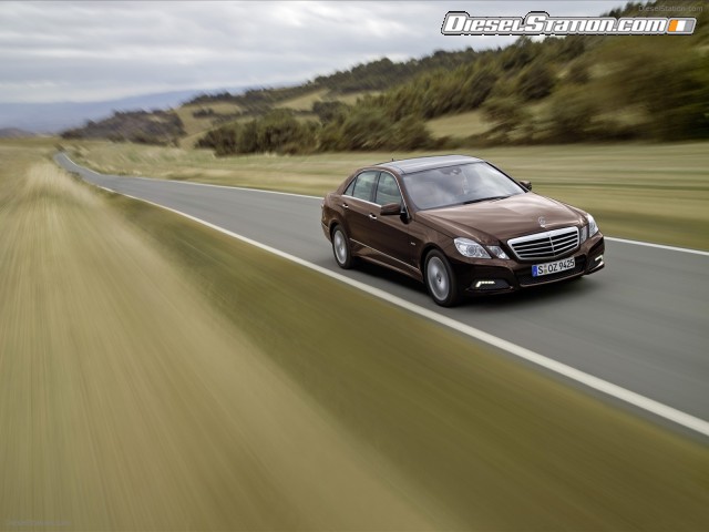 Mercedes All New 2010 E Class Picture #0 Mercedes All New 2010 E Class Picture #0