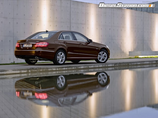 Mercedes All New 2010 E Class Picture #17 Mercedes All New 2010 E Class Picture #17
