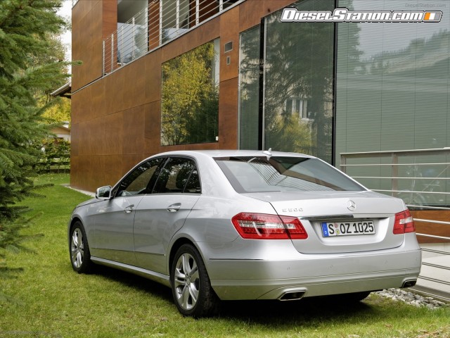 Mercedes All New 2010 E Class Picture #26 Mercedes All New 2010 E Class Picture #26