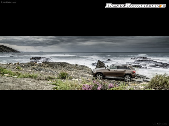 Mercedes Benz GLC 2016 Picture #19 Mercedes Benz GLC 2016 Picture #19