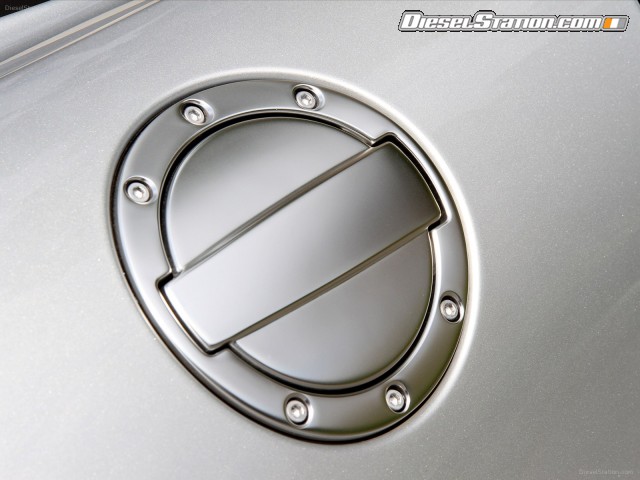 Mercedes Borrasca 2013 Picture #2 Mercedes Borrasca 2013 Picture #2