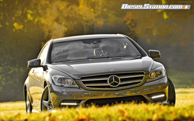 Mercedes CL550 4MATIC 2011 Widescreen Picture #49 Mercedes CL550 4MATIC 2011 Widescreen Picture #49