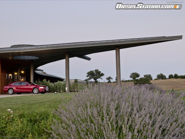 Mercedes CLS550 2012 Picture #14 Mercedes CLS550 2012 Picture #14