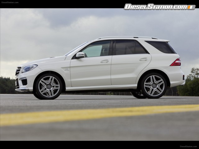 Mercedes Goodwood Speed 2012 Picture #48 Mercedes Goodwood Speed 2012 Picture #48