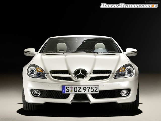 Mercedes SLK 2LOOK Edition Picture #17 Mercedes SLK 2LOOK Edition Picture #17