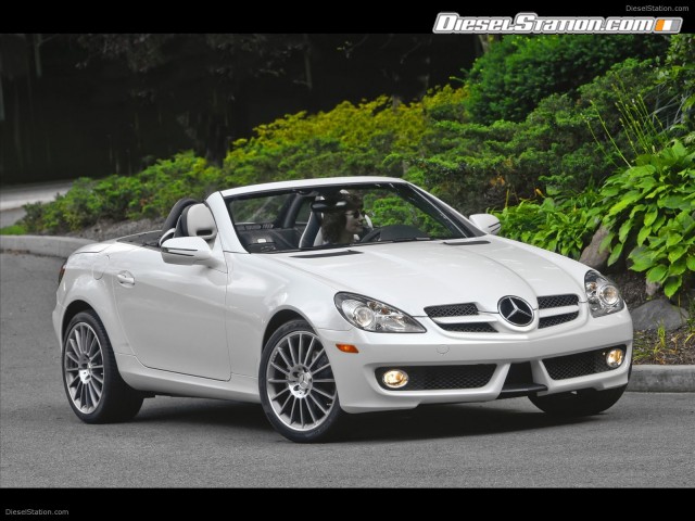 Mercedes SLK300 Diamond White Edition Picture #65 Mercedes SLK300 Diamond White Edition Picture #65