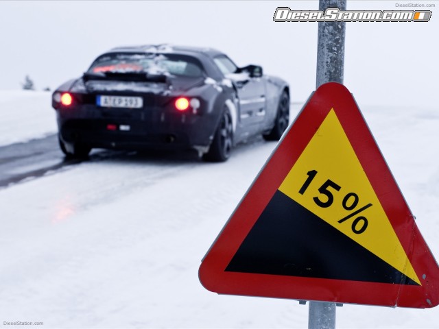 Mercedes SLS AMG Picture #16 Mercedes SLS AMG Picture #16