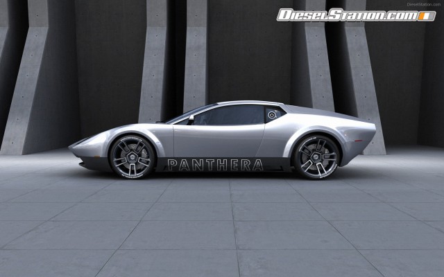 Misc Stefan Shulze Panthera Widescreen Picture #4 Misc Stefan Shulze Panthera Widescreen Picture #4