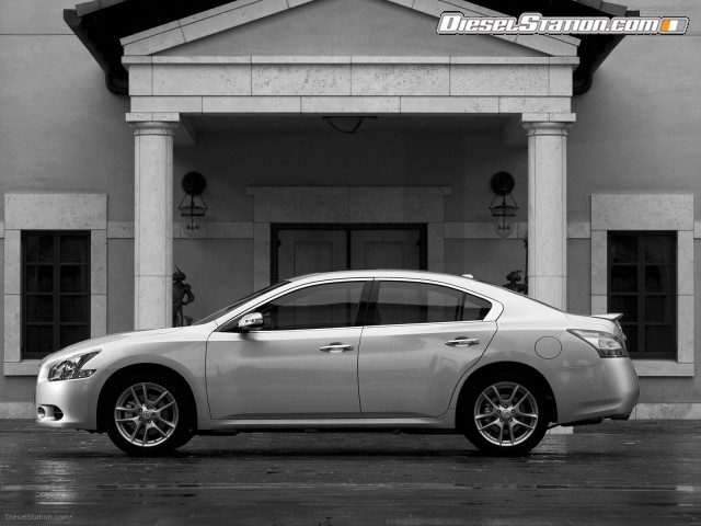 Nissan Maxima 2009 Picture #46 Nissan Maxima 2009 Picture #46
