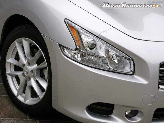 Nissan Maxima 2009 Picture #16 Nissan Maxima 2009 Picture #16