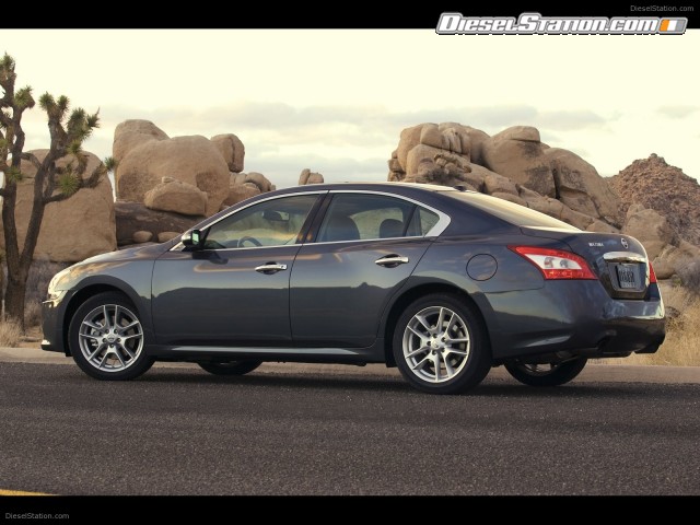 Nissan Maxima 2009 Picture #33 Nissan Maxima 2009 Picture #33