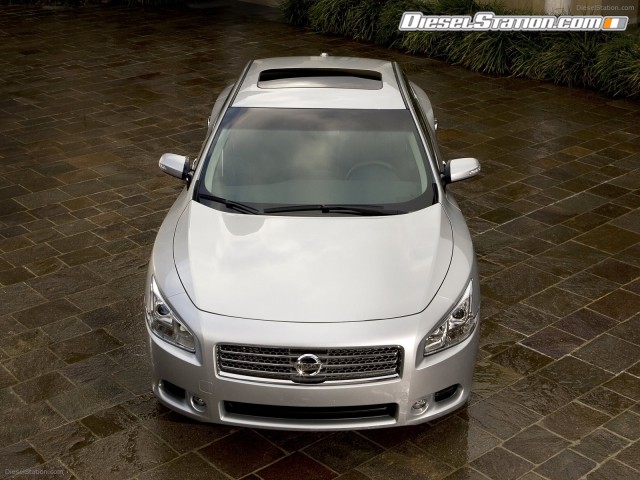 Nissan Maxima 2009 Picture #34 Nissan Maxima 2009 Picture #34