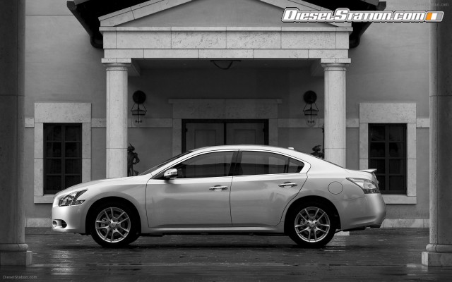 Nissan Maxima 2009 Widescreen Picture #22 Nissan Maxima 2009 Widescreen Picture #22