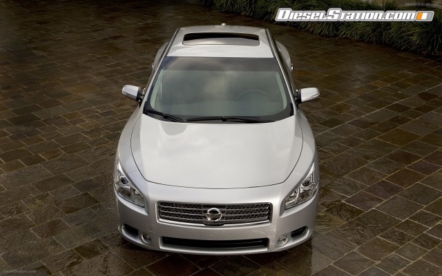 Nissan Maxima 2009 Widescreen Picture #28 Nissan Maxima 2009 Widescreen Picture #28