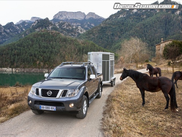 Nissan Pathfinder and Navara 2011 Picture #6 Nissan Pathfinder and Navara 2011 Picture #6