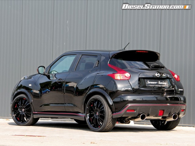 Nissan Senner Nismo 2014 Picture #14 Nissan Senner Nismo 2014 Picture #14