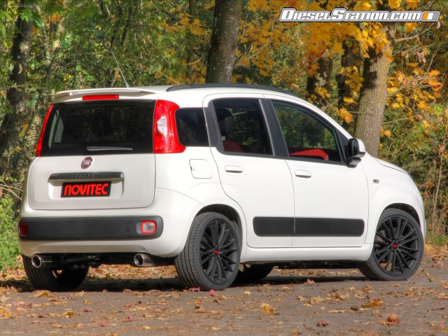 Novitec Fiat Panda 2012 Picture #28 Novitec Fiat Panda 2012 Picture #28