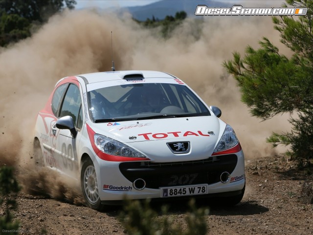 Peugeot 2009 IRC Rally Picture #0 Peugeot 2009 IRC Rally Picture #0