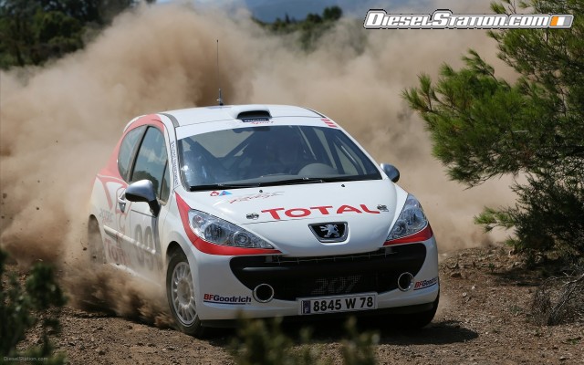 Peugeot 2009 IRC Rally Widescreen Picture #2 Peugeot 2009 IRC Rally Widescreen Picture #2