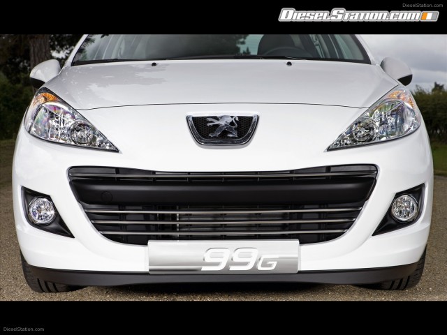 Peugeot 207 Economique Picture #10 Peugeot 207 Economique Picture #10