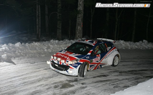 Peugeot 207 S2000 Widescreen Picture #8 Peugeot 207 S2000 Widescreen Picture #8