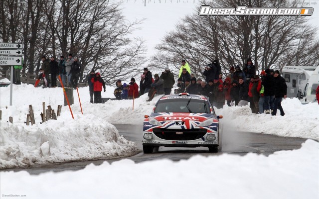 Peugeot 207 S2000 Widescreen Picture #12 Peugeot 207 S2000 Widescreen Picture #12