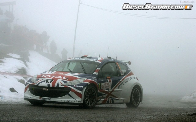 Peugeot 207 S2000 Widescreen Picture #9 Peugeot 207 S2000 Widescreen Picture #9