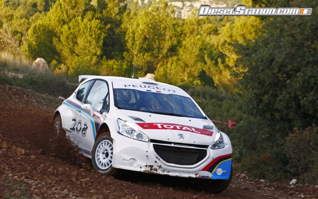 Peugeot 208 Type R5 2012 Widescreen Picture #5 Peugeot 208 Type R5 2012 Widescreen Picture #5