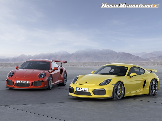 Porsche 911 GT3 RS 2015 Picture #19 Porsche 911 GT3 RS 2015 Picture #19